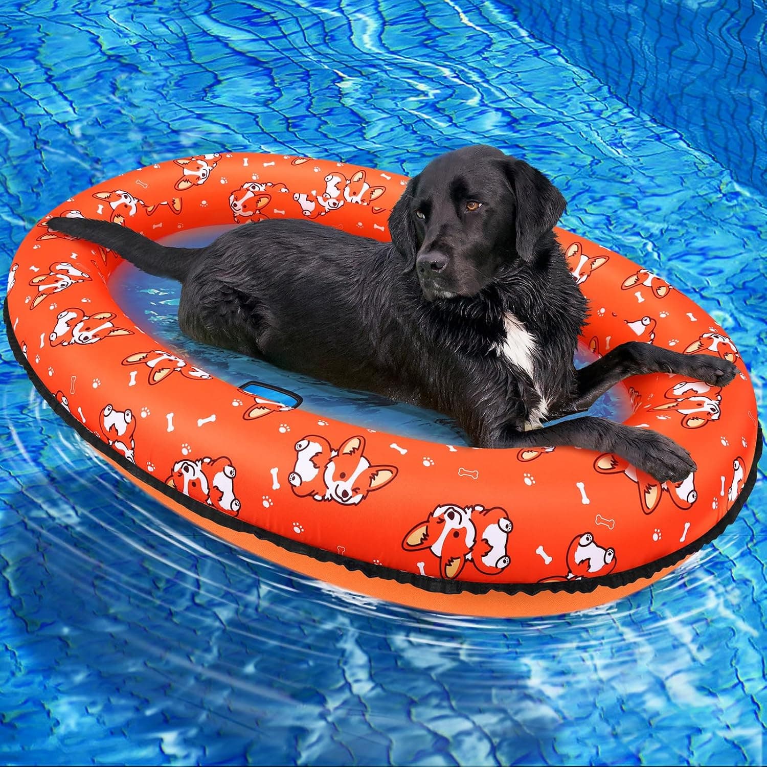 Dog Pool Float