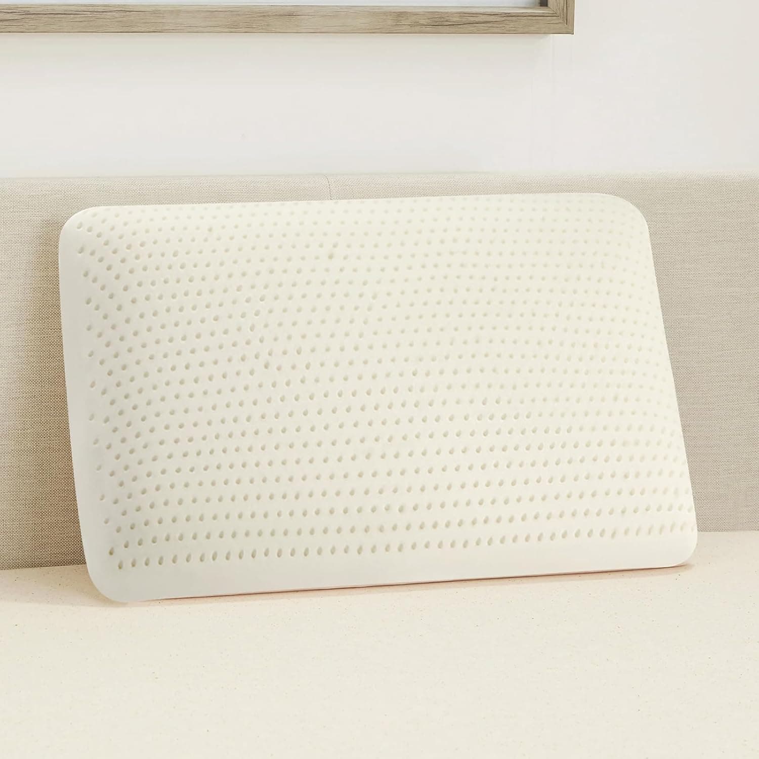 Natural Latex Pillow