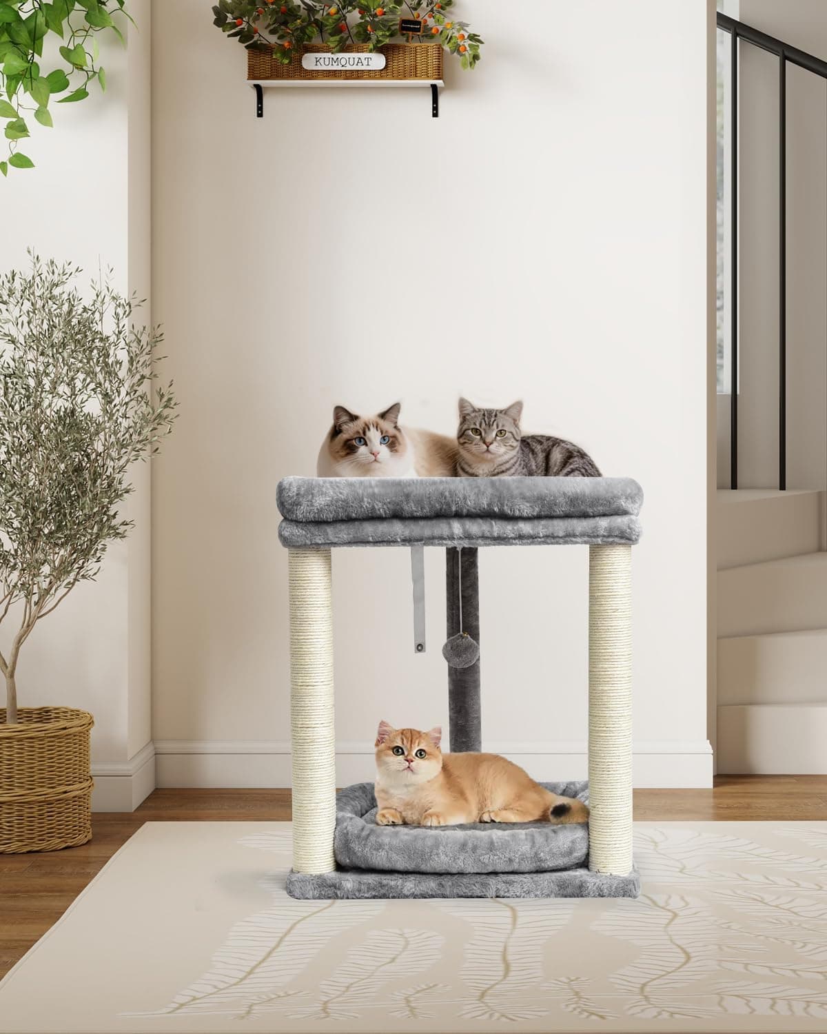 2-Level Cat Tree with Perches