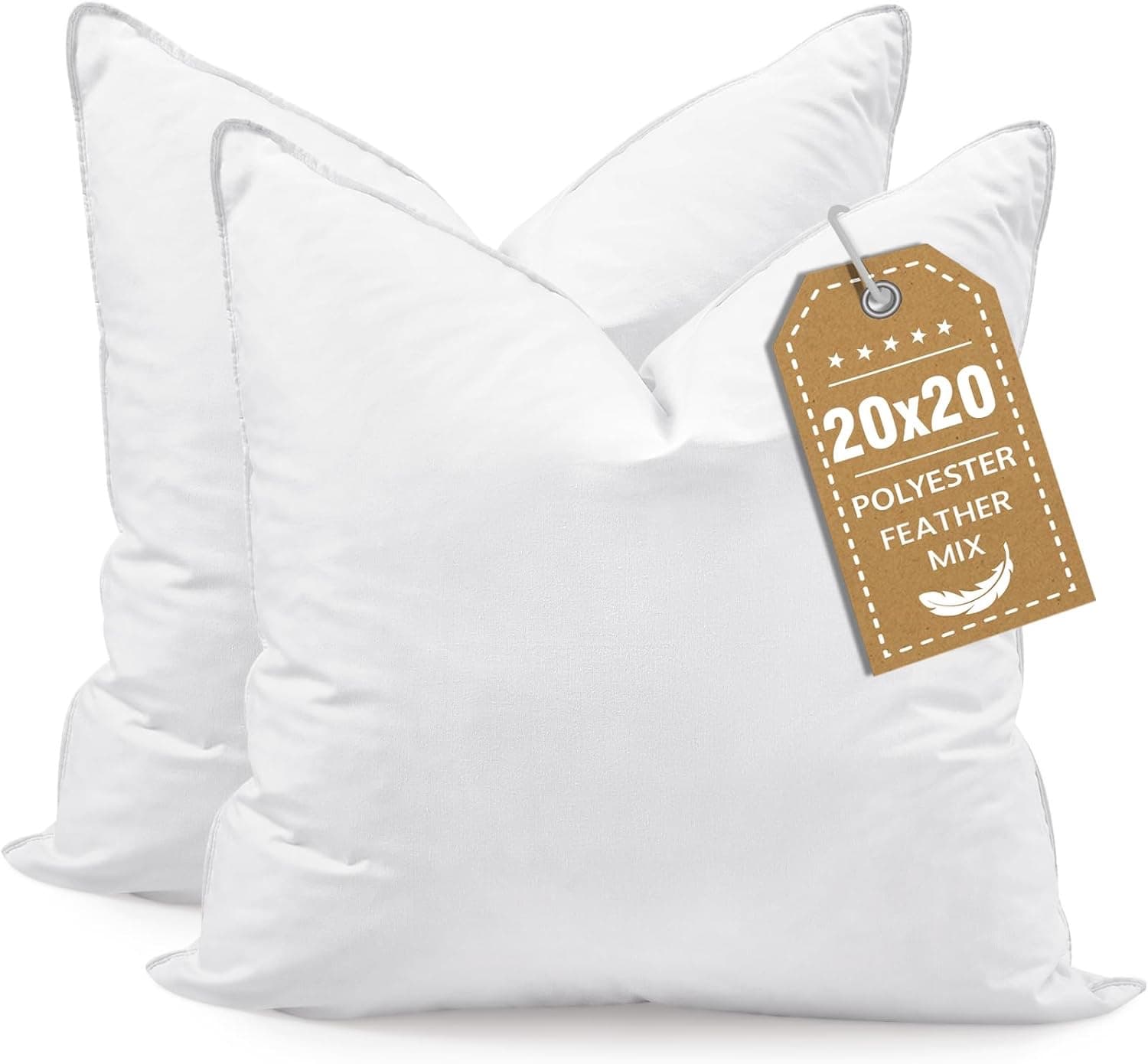 Euro Pillow Inserts, 20x20, White, Set of 2