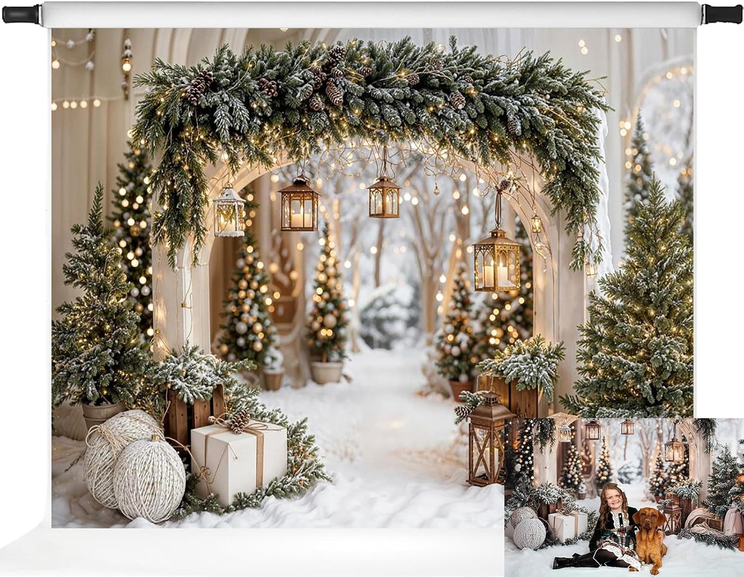Winter Snow Christmas Photo Backdrop