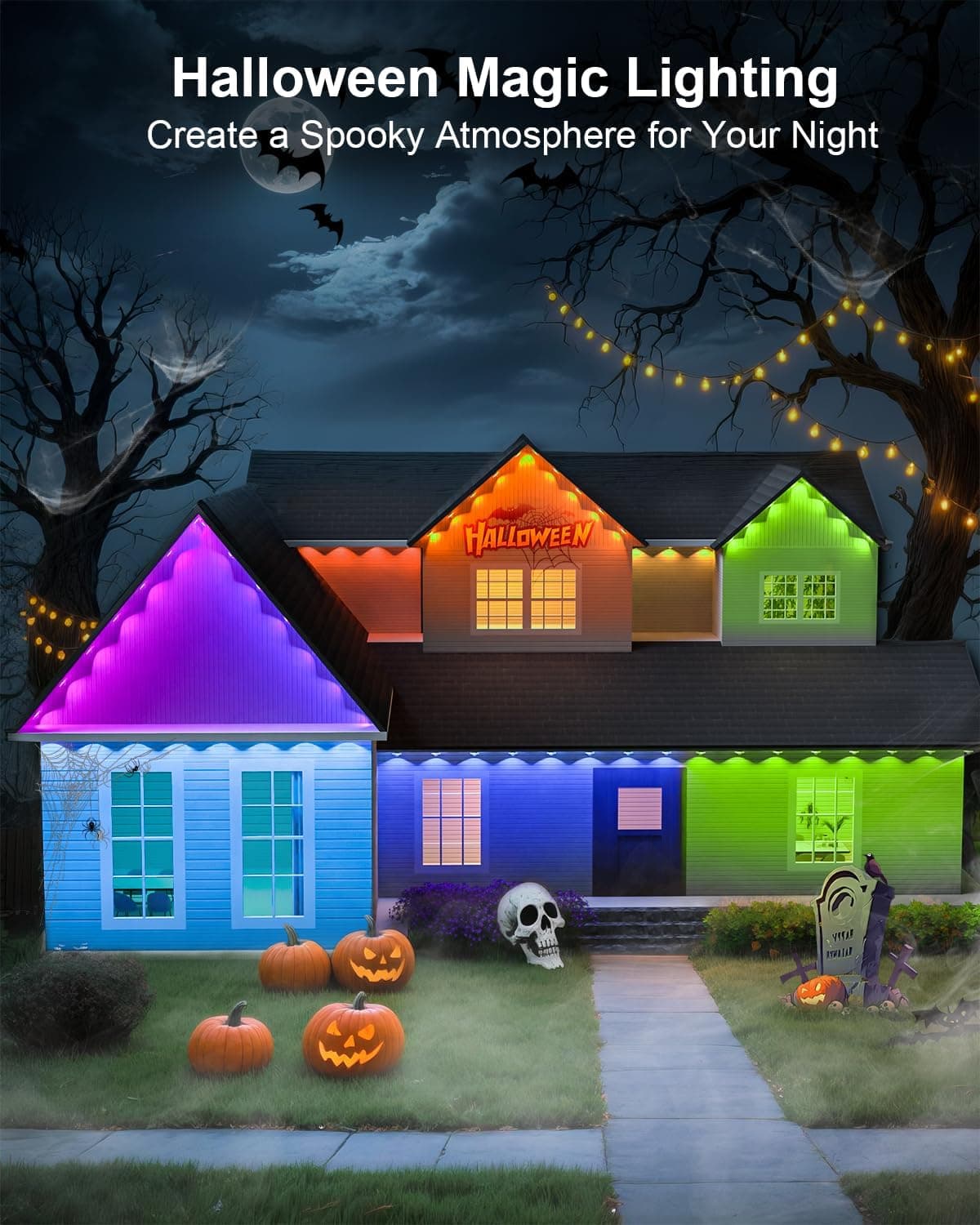Permanent Outdoor House Lights, 50ft