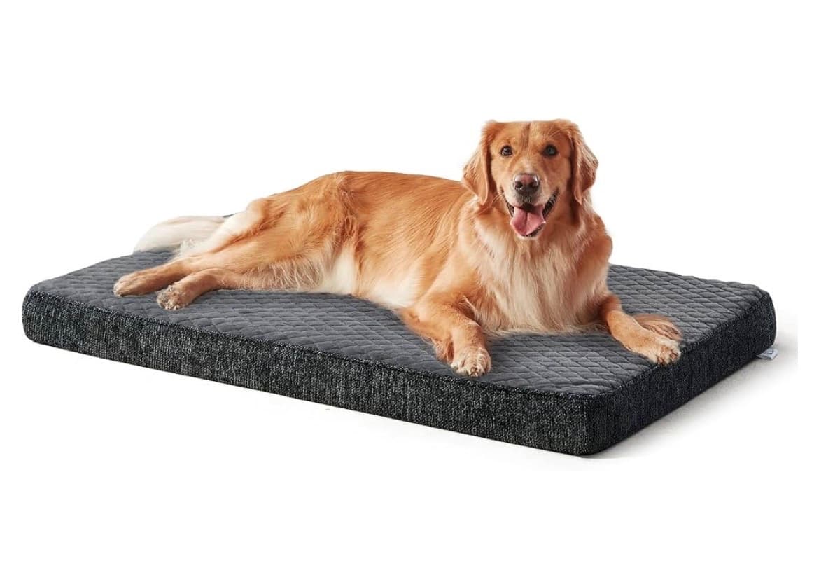 Dog Bed, 40 x 29 in, Gray