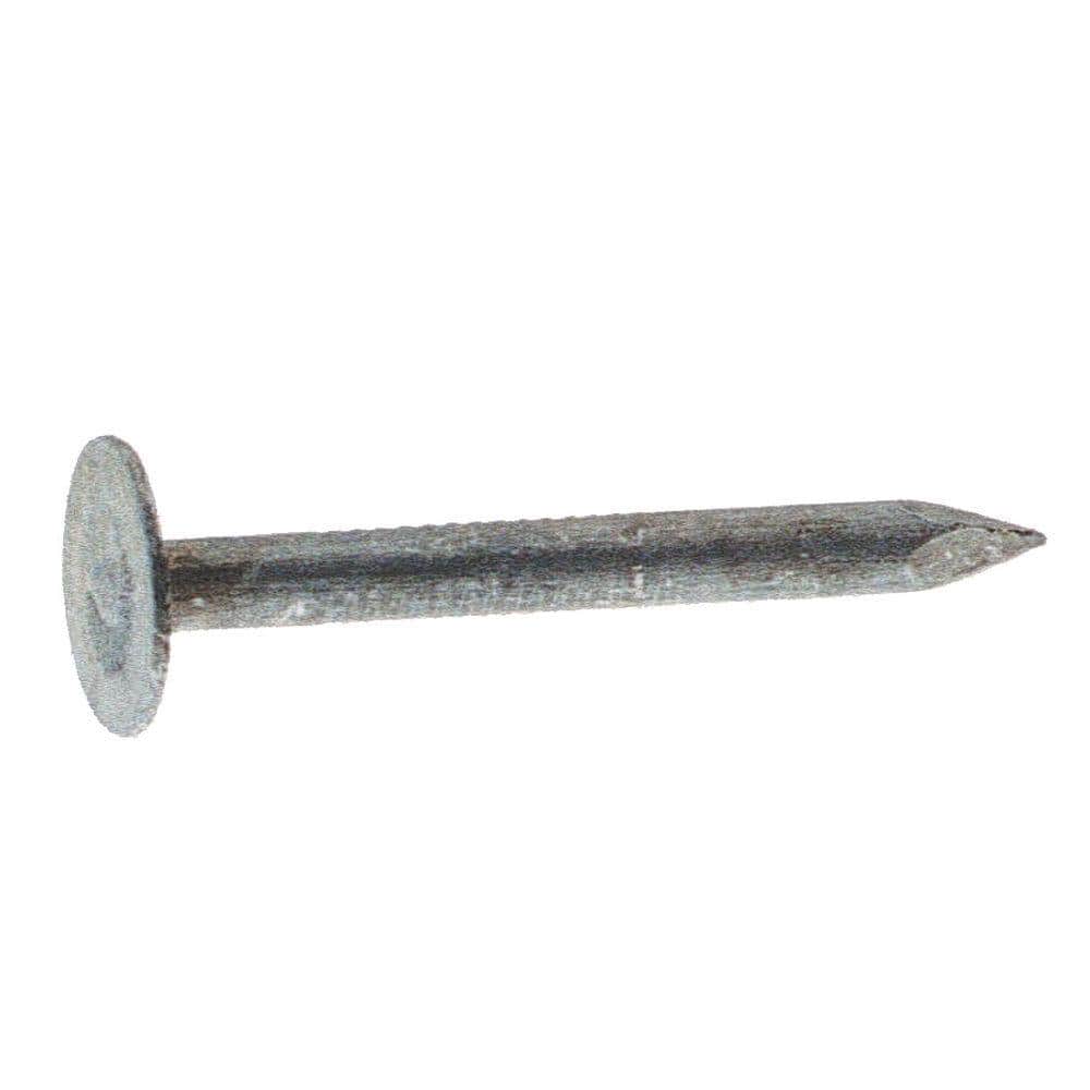 Grip-Rite #11 x 1-1/4 in Electro Galvanized Roofing Nails, 10 lb Bucket — photo 2
