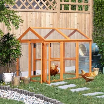 Large Wooden Chicken Coop with Perches and Doors