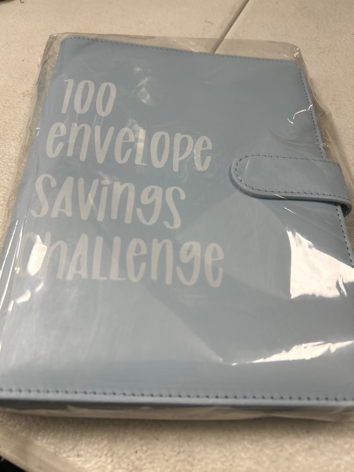 100 Envelope Money Saving Challenge Binder — photo 4